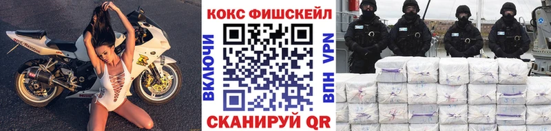 COCAIN Fish Scale  где купить   Белёв 