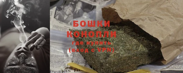 ГАЛЛЮЦИНОГЕННЫЕ ГРИБЫ Балабаново