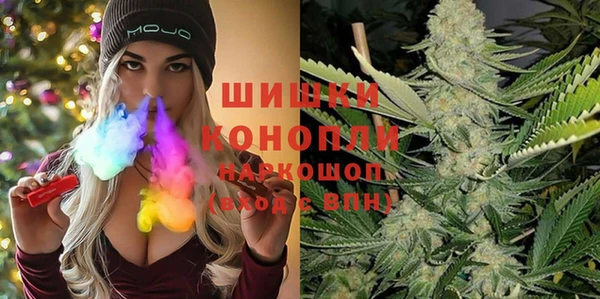 ГАЛЛЮЦИНОГЕННЫЕ ГРИБЫ Балабаново