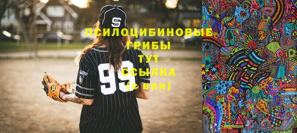 кокс Баксан