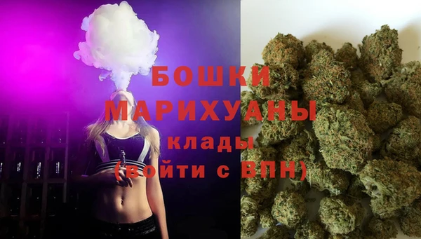молекула духа Балахна