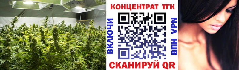 ТГК Wax  Белёв 